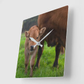 Cutest Baby Animals | Cow & Calf Quadratische Wanduhr (Winkel)
