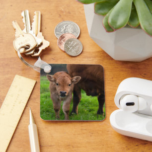 Cutest Baby Animals   Cow & Calf Schlüsselanhänger