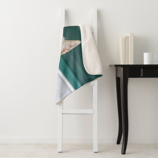 Cutest Baby Animals | Cute Tabby Kitten Sherpadecke (Beispiel)