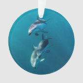 Cutest Baby Animals | Dolphin Family Ornament (Vorderseite)
