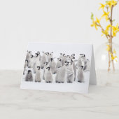 Cutest Baby Animals | Emperor Penguin Chicks Karte (Gelbe Blume)