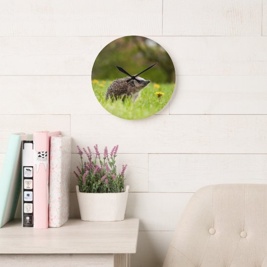 Cutest Baby Animals | European Hedgehog Große Wanduhr (Lesesaal)