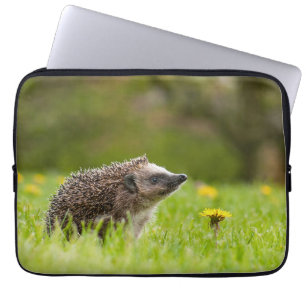 Cutest Baby Animals European Hedgehog Laptopschutzhülle
