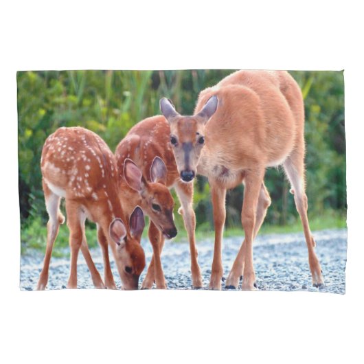 Cutest Baby Animals | Fawn with Babies Kissenbezug (Vorderseite)