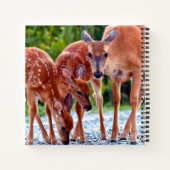 Cutest Baby Animals | Fawn with Babies Notizblock (Rückseite)