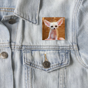 Cutest Baby Animals   Fennec Fox Button