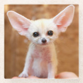 Cutest Baby Animals | Fennec Fox Glasuntersetzer (Vorderseite)