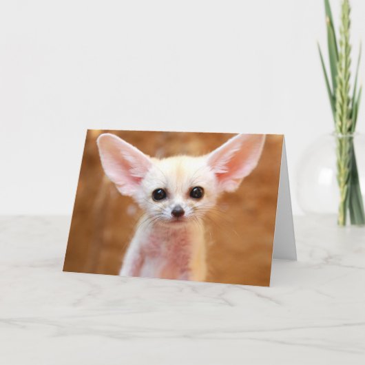 Cutest Baby Animals | Fennec Fox Karte (Vorderseite)