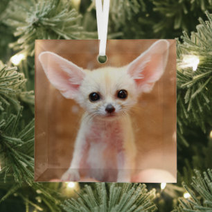 Cutest Baby Animals Fennec Fox Ornament Aus Glas