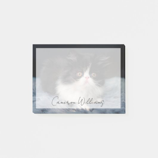 Cutest Baby Animals | Fluffy B&W Kitten Post-it Klebezettel (Vorderseite)