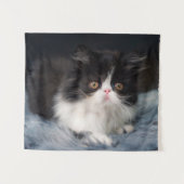 Cutest Baby Animals | Fluffy B&W Kitten Wandteppich (Vorderseite (Horizontal))