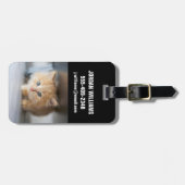 Cutest Baby Animals | Fluffy Orange Kitten Gepäckanhänger (Vorderseite horizontal)