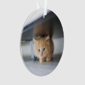 Cutest Baby Animals | Fluffy Orange Kitten Ornament (Vorderseite)