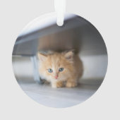 Cutest Baby Animals | Fluffy Orange Kitten Ornament (Rückseite)