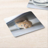 Cutest Baby Animals | Fluffy Orange Kitten Rechteckiger Pappuntersetzer (angewinkelt)