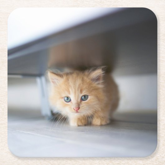 Cutest Baby Animals | Fluffy Orange Kitten Rechteckiger Pappuntersetzer (Vorderseite)