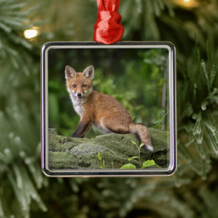 Cutest Baby Animals   Foxy Smile Ornament Aus Metall