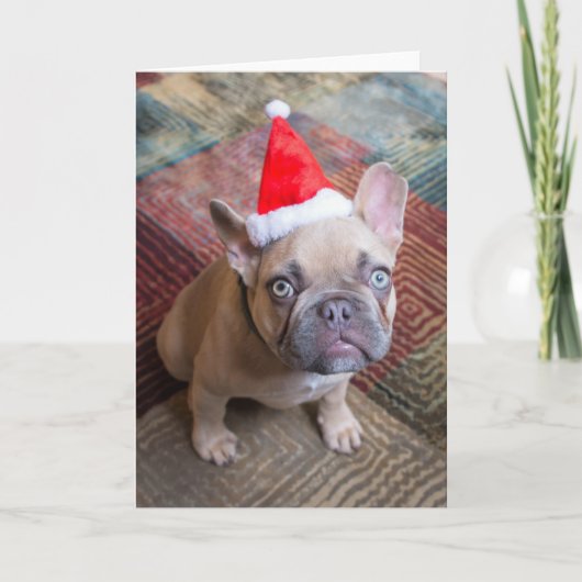 Cutest Baby Animals | French Bulldog Christmas Karte (Vorderseite)