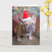 Cutest Baby Animals | French Bulldog Christmas Karte (Gelbe Blume)