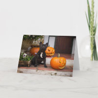 Cutest Baby Animals | French Bulldog Halloween