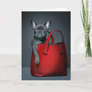 Cutest Baby Animals French Bulldog in Handbag Karte