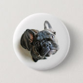 Cutest Baby Animals | French Bulldog Look Up Button (Vorderseite)