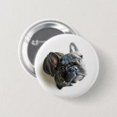 Cutest Baby Animals | French Bulldog Look Up Button (Vorne & Hinten)