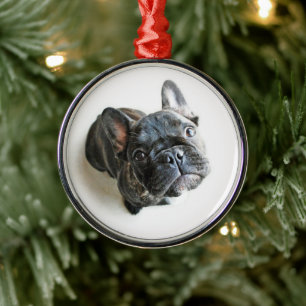 Cutest Baby Animals French Bulldog Look Up Ornament Aus Metall