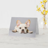 Cutest Baby Animals | French Bulldog Lying Down Karte (Gelbe Blume)