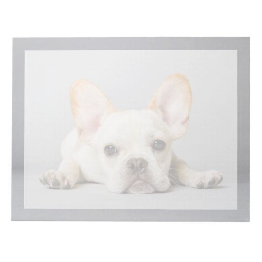 Cutest Baby Animals | French Bulldog Lying Down Notizblock (Vorderseite)