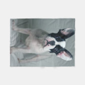 Cutest Baby Animals | French Bulldog Puppy Fleecedecke (Vorderseite (Horizontal))