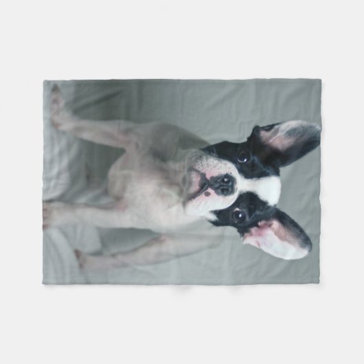 Cutest Baby Animals | French Bulldog Puppy Fleecedecke (Vorderseite (Horizontal))