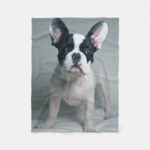 Cutest Baby Animals   French Bulldog Puppy Fleecedecke
