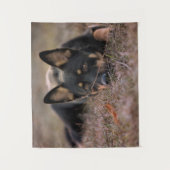 Cutest Baby Animals | German Shepherd Puppy Wandteppich (Vorderseite)