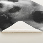 Cutest Baby Animals | Giant Panda Bear Cub Sherpadecke (3/4)