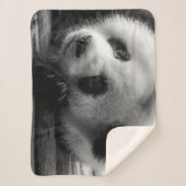 Cutest Baby Animals | Giant Panda Bear Cub Sherpadecke (Vorderseite)