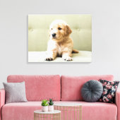 Cutest Baby Animals | Golden Retriever Puppy Leinwanddruck (Insitu (Wohnzimmer))