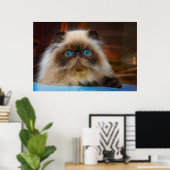 Cutest Baby Animals | Himalayan Cat Poster (Heimbüro)