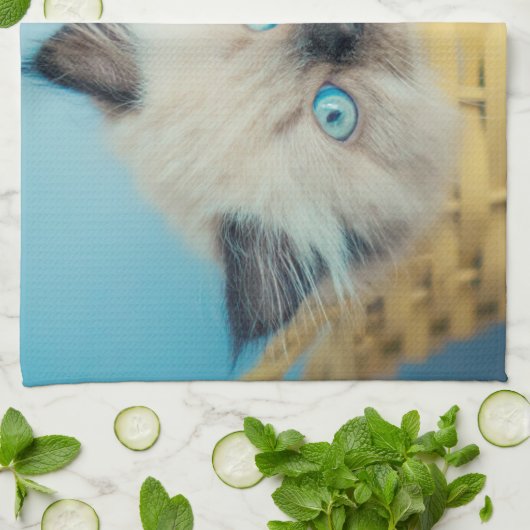 Cutest Baby Animals | Himalayan Seal Point Cat Geschirrtuch (Gefaltet)