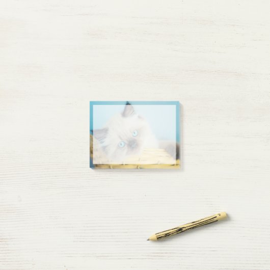 Cutest Baby Animals | Himalayan Seal Point Cat Post-it Klebezettel (Auf Schreibtisch)