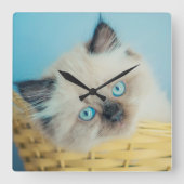 Cutest Baby Animals | Himalayan Seal Point Cat Quadratische Wanduhr (Vorderseite)