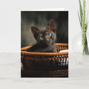 Cutest Baby Animals Kitten in Basket Karte