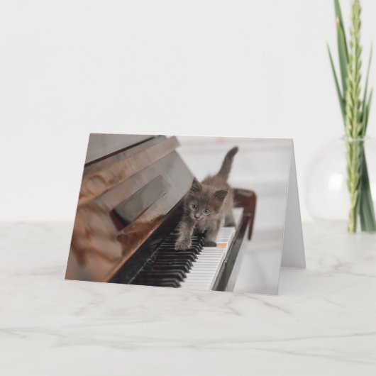 Cutest Baby Animals | Kitten on Piano Karte (Vorderseite)