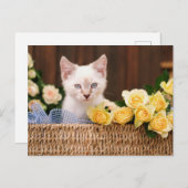 Cutest Baby Animals | Kitten & Yellow Roses Postkarte (Vorne/Hinten)