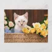 Cutest Baby Animals | Kitten & Yellow Roses Postkarte (Vorderseite)
