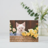 Cutest Baby Animals | Kitten & Yellow Roses Postkarte (Stehend Vorderseite)