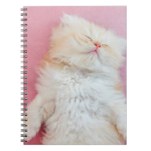 Cutest Baby Animals Lovely Kitten Sleeping Notizblock