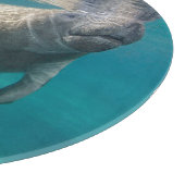 Cutest Baby Animals | Manatee & Baby Schneidebrett (Ecke)