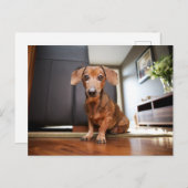 Cutest Baby Animals | Mini Dachshund Puppy Postkarte (Vorne/Hinten)