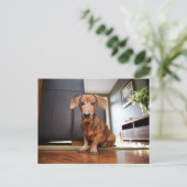 Cutest Baby Animals | Mini Dachshund Puppy Postkarte (Stehend Vorderseite)